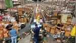 We are hiring for picking and packing