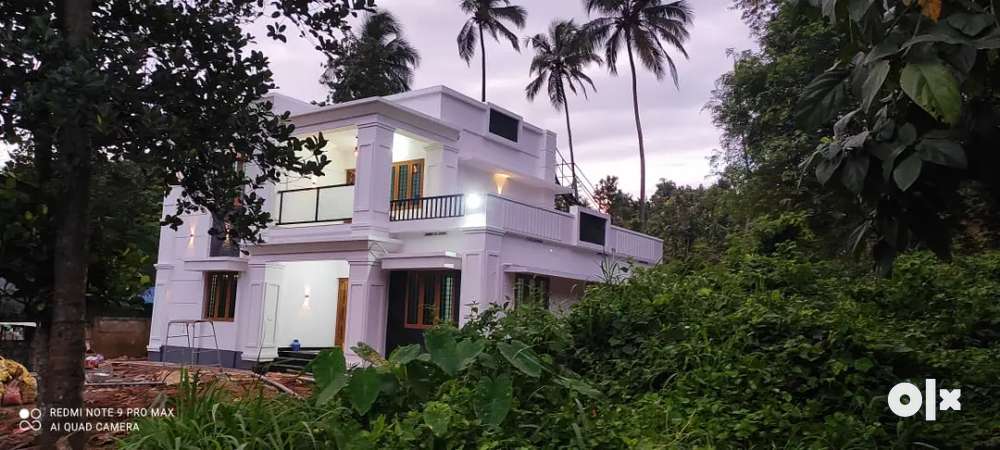 Beautiful villa/home/house with attractive elevation
