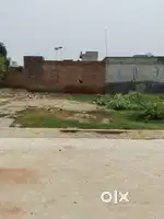 50*74 plot 16.5 marle for sale in jiwan nagar, Abohar road, Muktsar