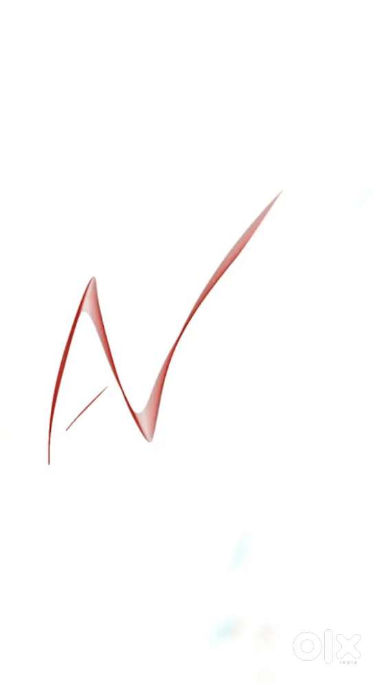 office assistant & Cameraman