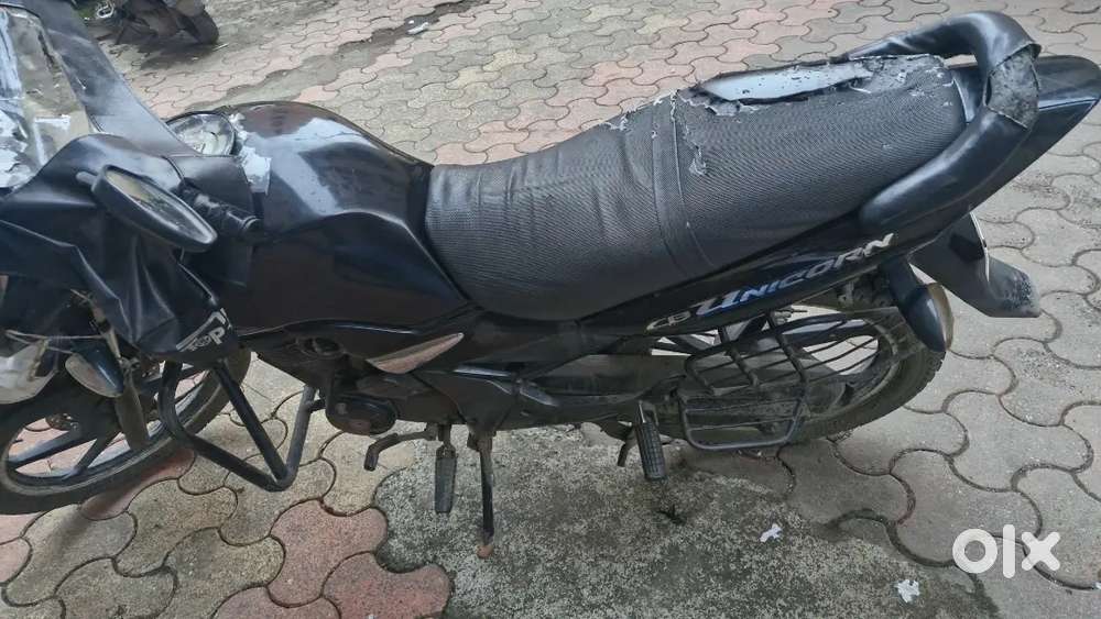 Unicorn bike