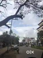 2250 sqft Road Face 1st floor PANAMPILLY NAGAR