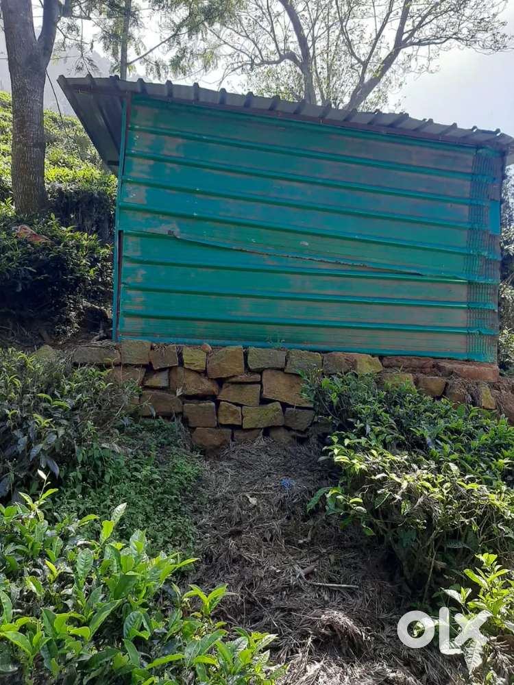 5acer tea estate for sale