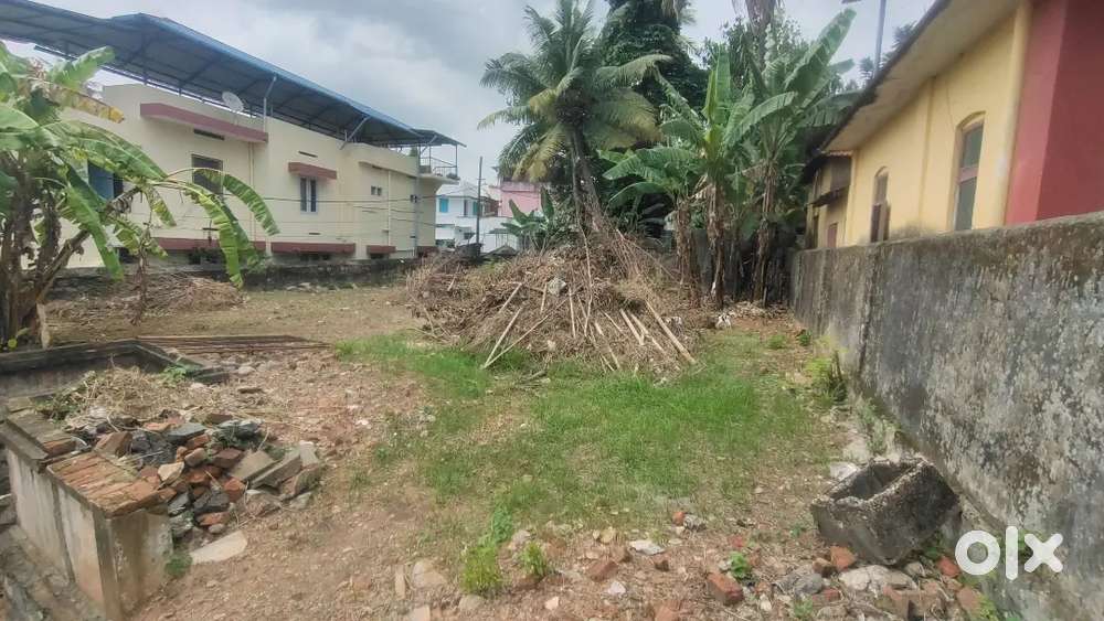 RESIDENTIAL  LAND WITH OLD HOUSE FOR SALE NEAR VAZHUTHACADU JUNCTION