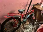 Flamingo bikes