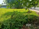 10.5 CENT PLOT FOR SALE CHERIYAPILLY NEAR NATIONAL HIGHWAY