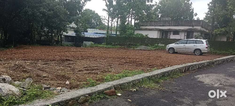 ANGAMALY MOKKANNOOR JUNCTION NEAR BY 4 ,5,8, 10 CENT PLOTS