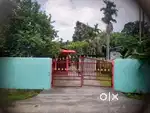 Assam type house with 1BIGHA land
