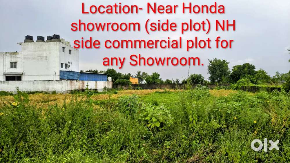 Dream plot in Baleshwar