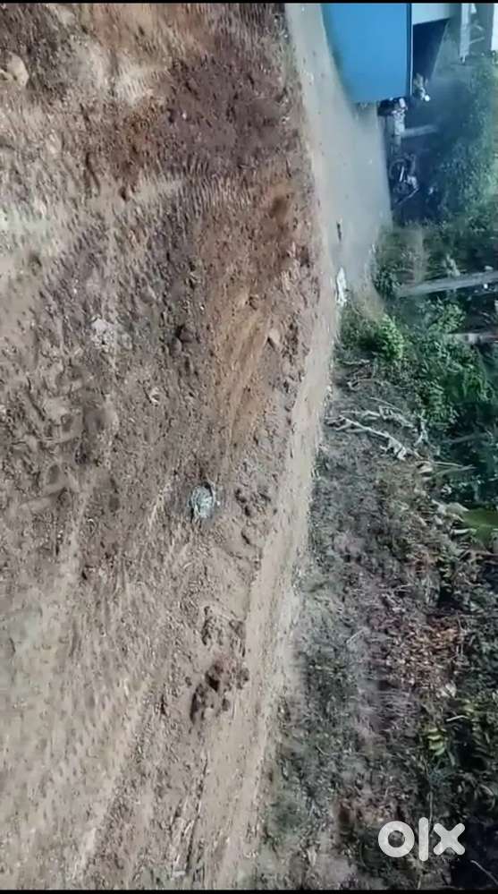 മുൻവശം റോഡ് കൂടിയ സ്ഥലം വിൽപ്പനയ്ക്ക്