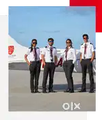 Airline job