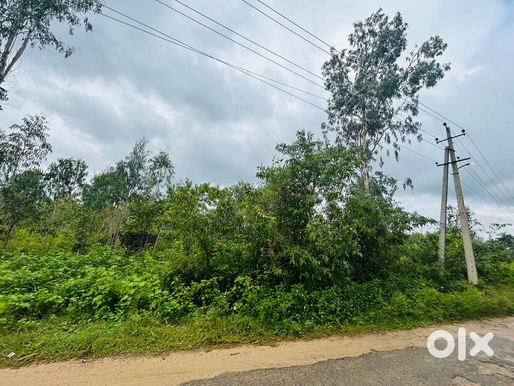 41 gunta Agricultural land