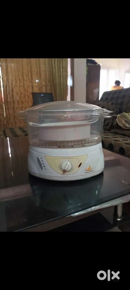 Food Steamer
