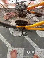 Thorn sprit cycle