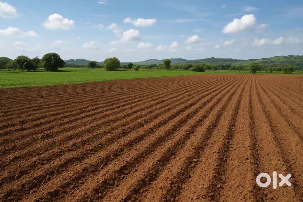 Excellent & Clear Titled Property For Sale