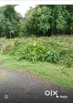Plot for sale