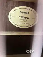 Acoustic Guitar