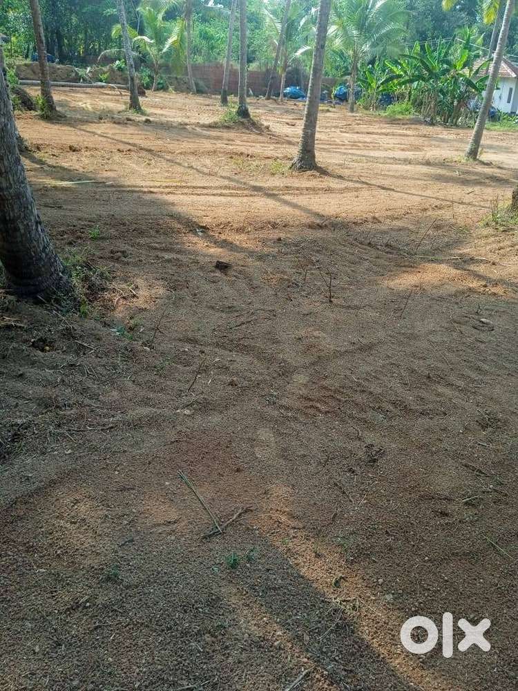 14.8 Cent Residential Land for Sale At Vengeri, Calicut (Jm)