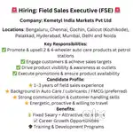 Sales Executive