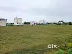 Golden Investment Plots for Sale In Potheri