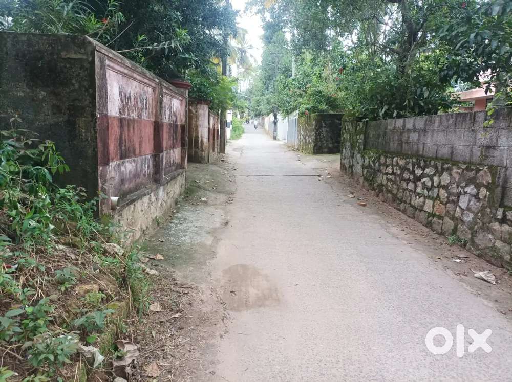 12 Cents. Only 50 Lakhs