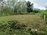 SR PURAM PLOT FOR SALE PANCHAYAT APPROVED VISAKHAPATNAM