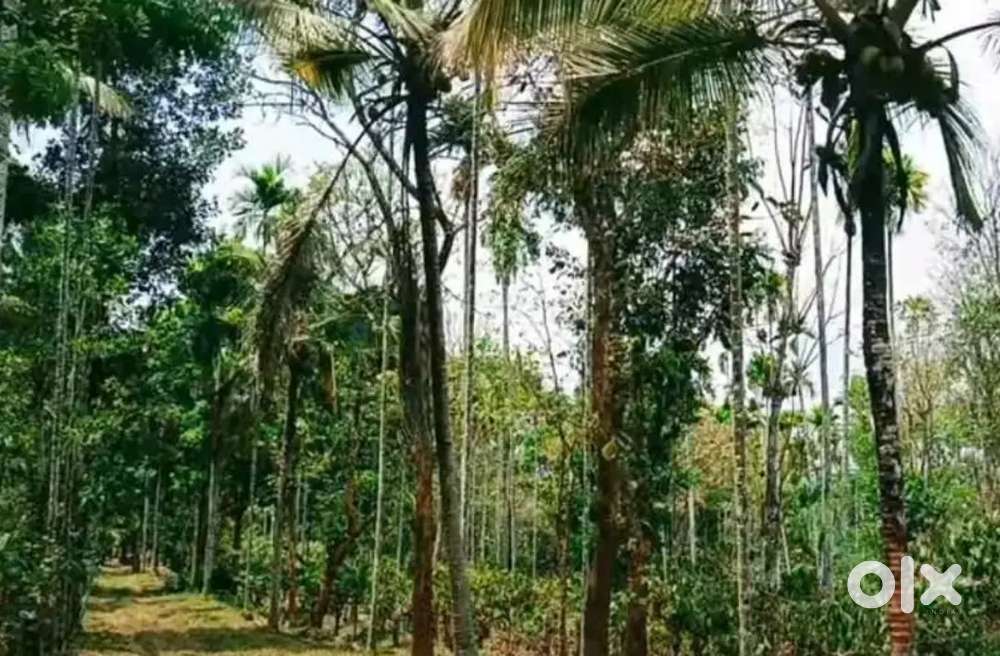 പൂതാടി പഞ്ചായത്തിൽ 5 ഏക്കർ സ്ഥലം വിൽപ്പനയ്ക്ക്