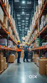 Urgent Hiring:We are hiring Staff Packing,Scanning,Billing, Data Entry