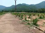 Book Plot in Araku Agri Project – ₹10K Monthly Returns