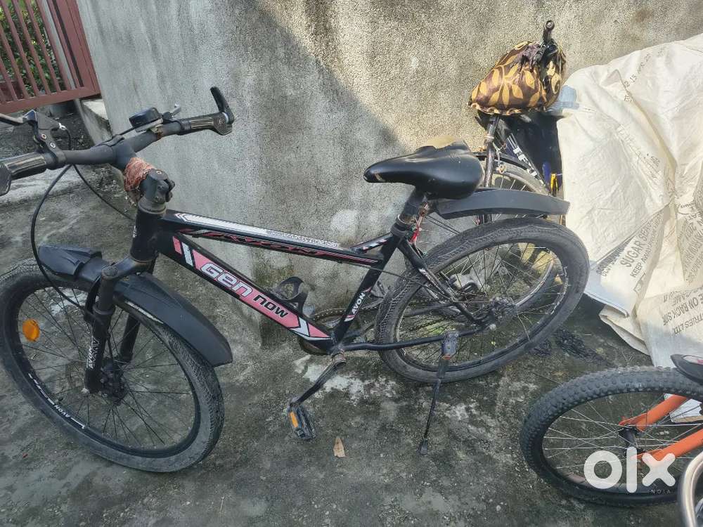 Avon cycle
