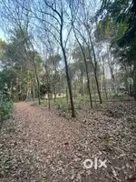 90 cent area and house for sale (90 സെന്റ് സ്ഥലവും വിടും വില്പനക്ക്)