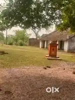Jamtara main plot k liye contact kre