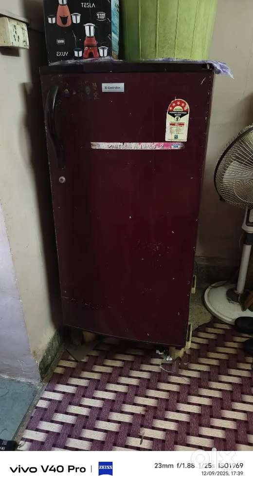 Refrigerator Electrolux