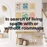 In search of a living space or a roommate