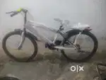 New cycle hai