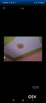 Beautiful flat for you