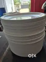 White PLATE11
