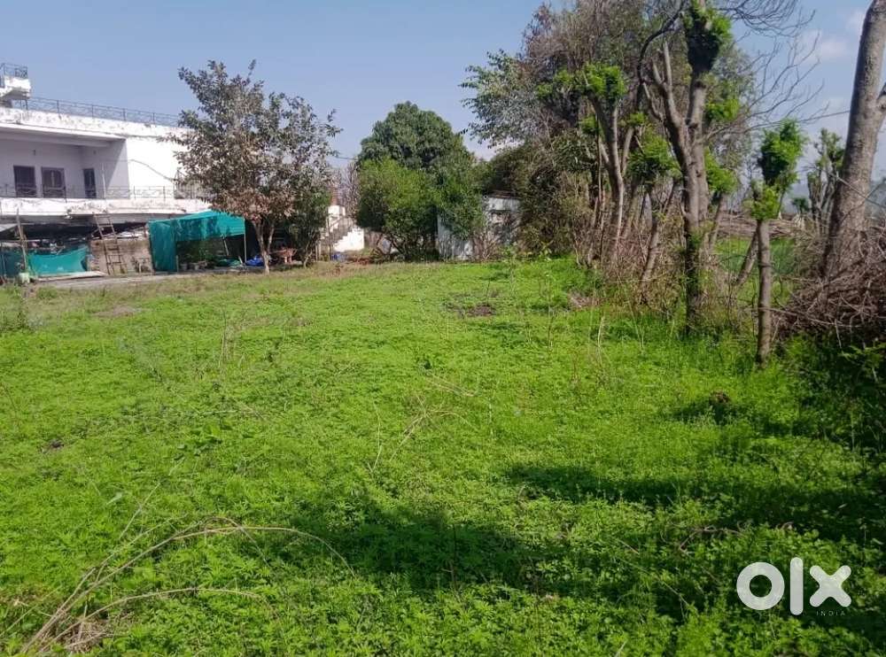 Selling 5, 7 or 12 marla plot at Nagrota Jammu