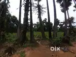 30 cents land for sale in Kothappali, K Kotapadu, Devarapalli