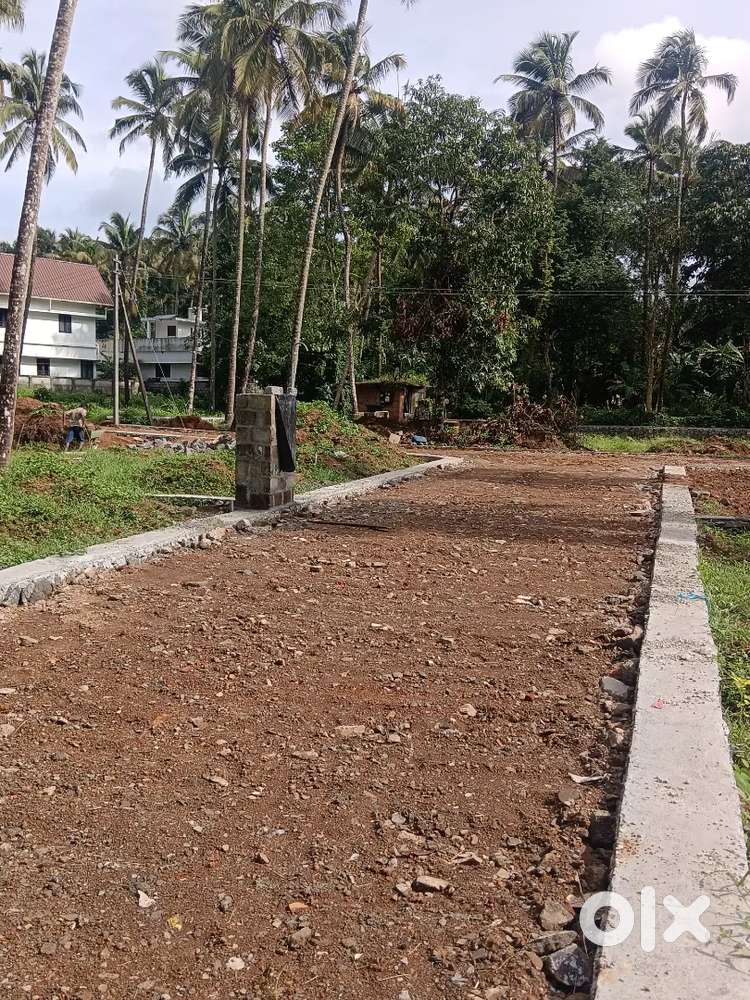 MUNDUR 5 CENT, 6 CENT, 7 CENT FOR SALE