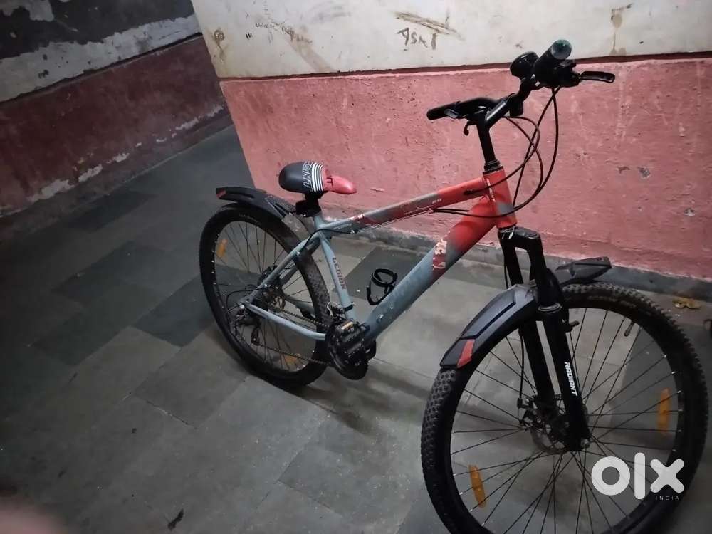 NEWLY JUST 3 MONTHS OLD