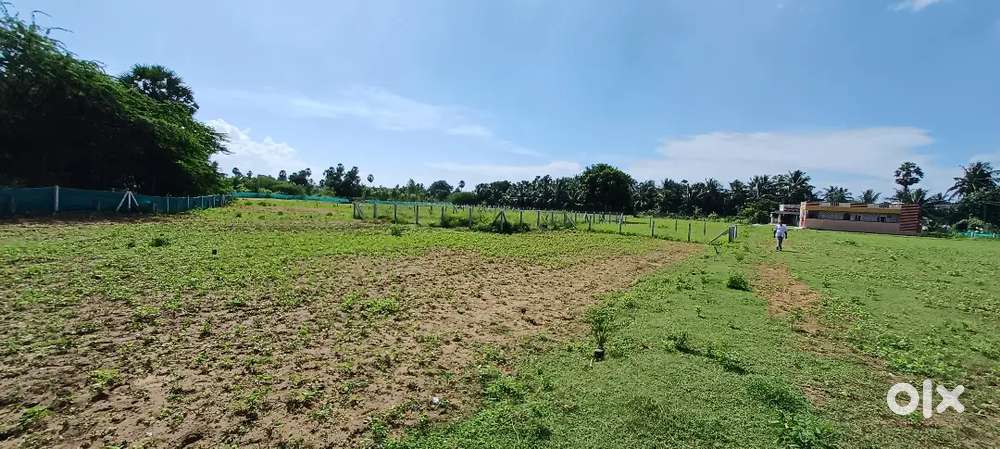OPEN PLOTS FOR SALE (near Appikonda) VIZAG STEEL PLANT