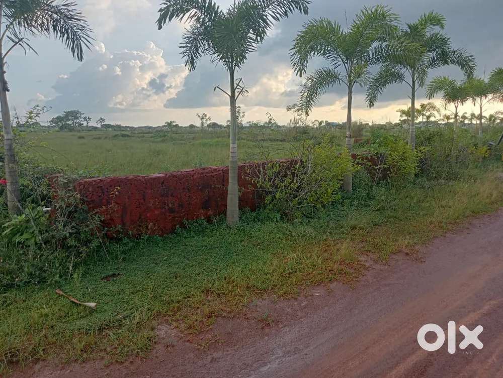 Plot for sale in bhubaneswar patrapada gharabari yellow jone