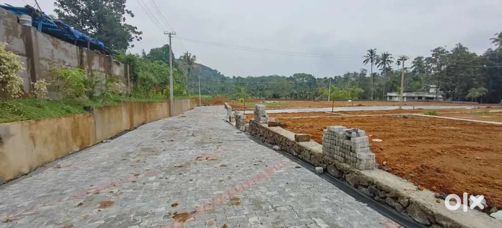 3,4,5,6,7 cent house plot near Kakkanad pukkattupady busroot