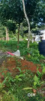 House plot for sale