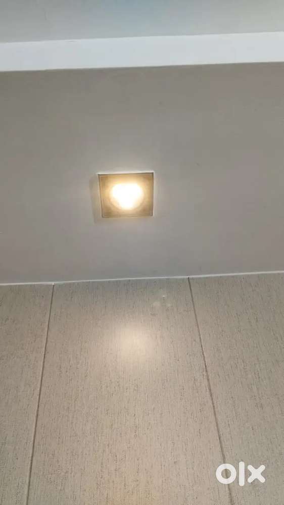 Decorative LED Light