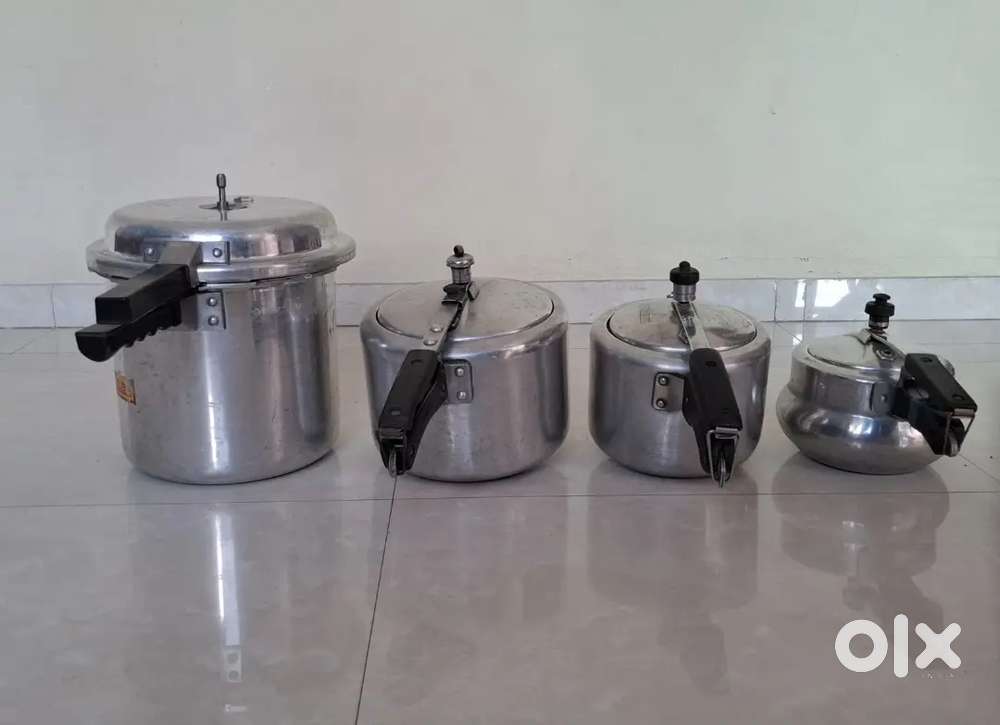 Working pressure cooker for sale