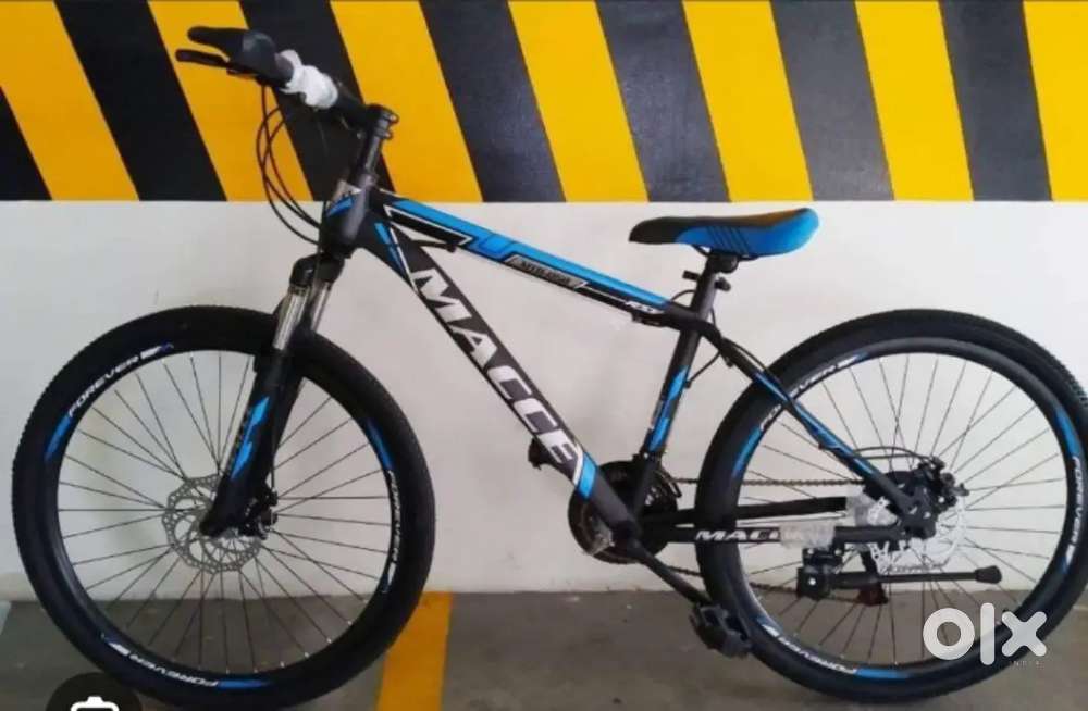 Max bicycle