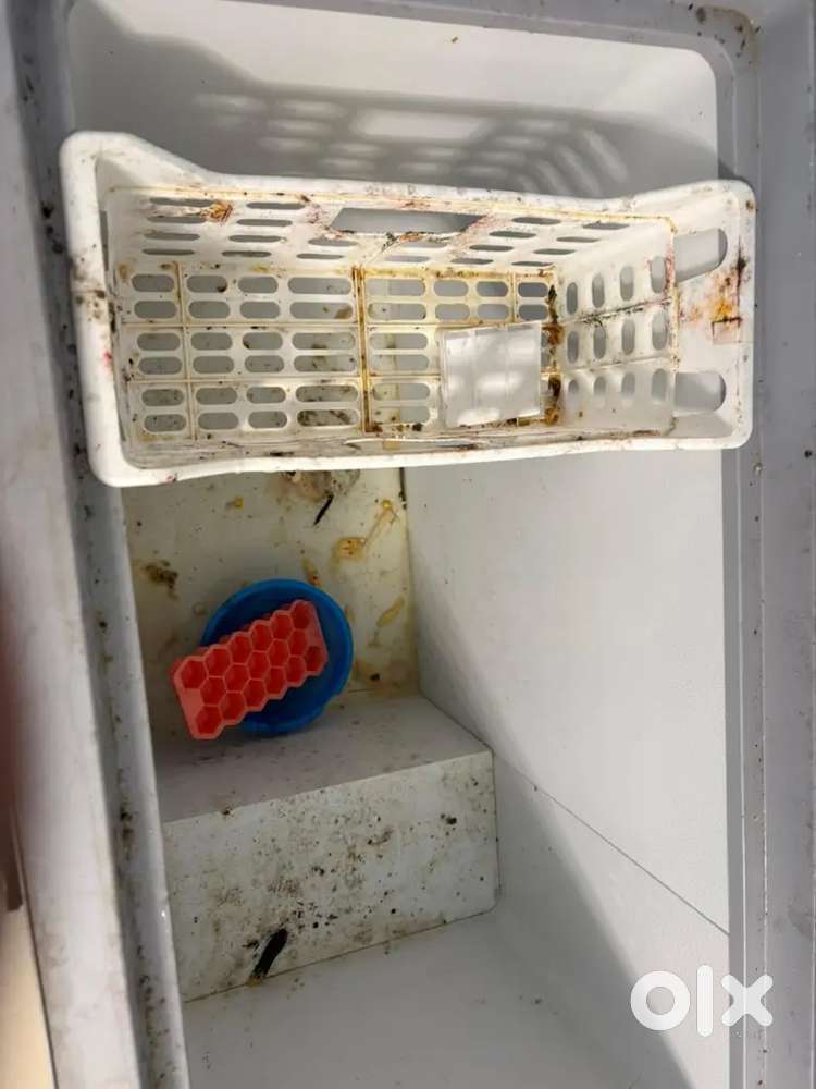 Deep Freezer 3 month Old
