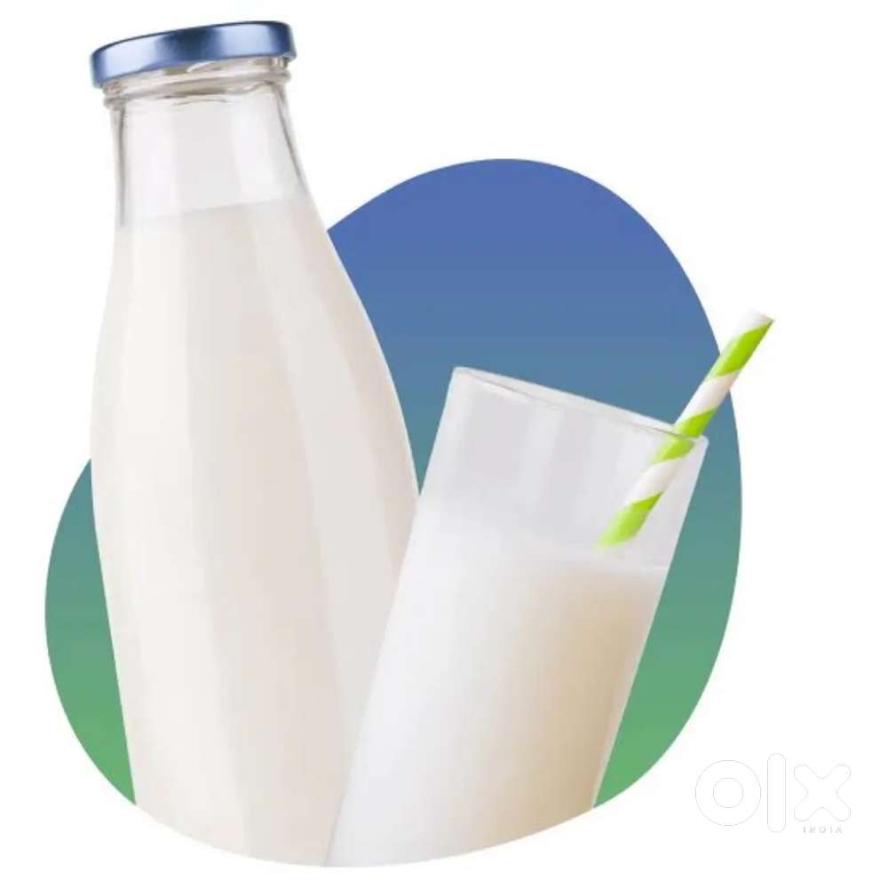 Need accountant male